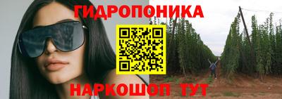 индика Лесосибирск
