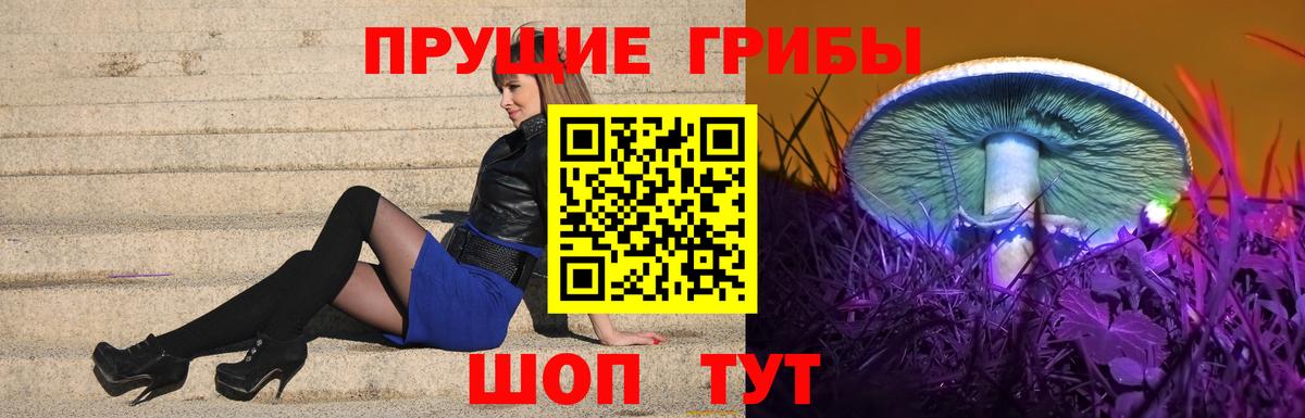 Галлюциногенные грибы ЛСД  Вход с VPN  Избербаш  Псилоцибиновые грибы мицелий 